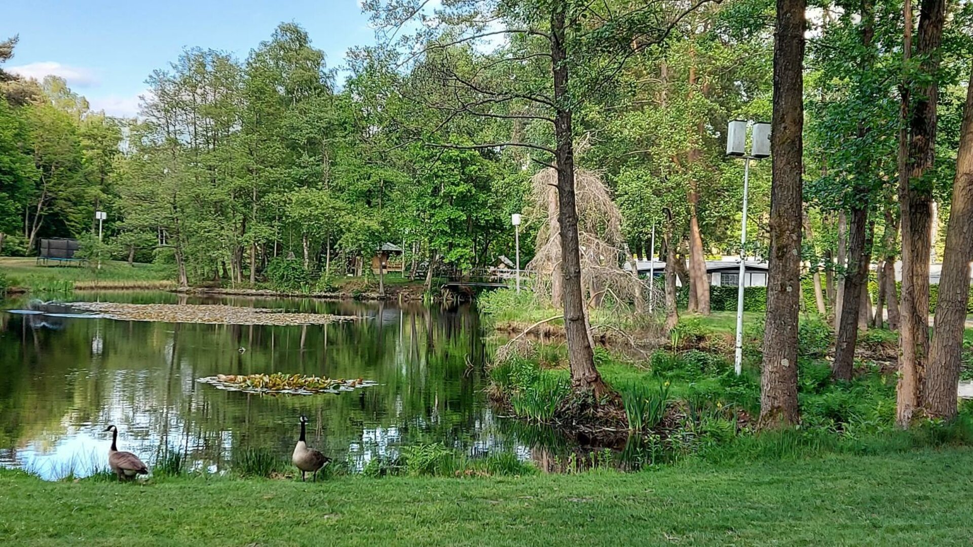 Camping Holsteenbron - Zonhoven, Belgium